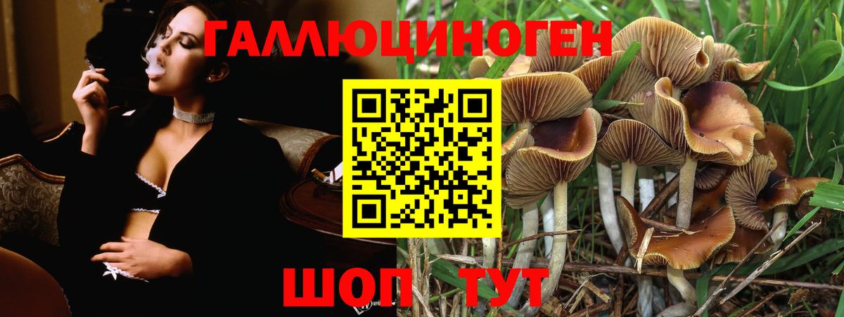 Назарово  Псилоцибиновые грибы прущие грибы  где купить наркоту  Вход с VPN 